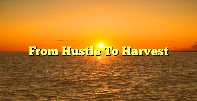 From Hustle To Harvest