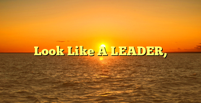 Look Like A LEADER,