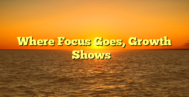 Where Focus Goes, Growth Shows ✨️